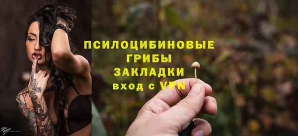 дмт Карпинск