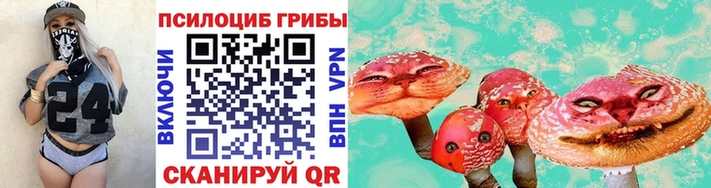 Галлюциногенные грибы MAGIC MUSHROOMS  Купить где  Рубцовск 